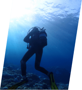 海の風景・人々画像