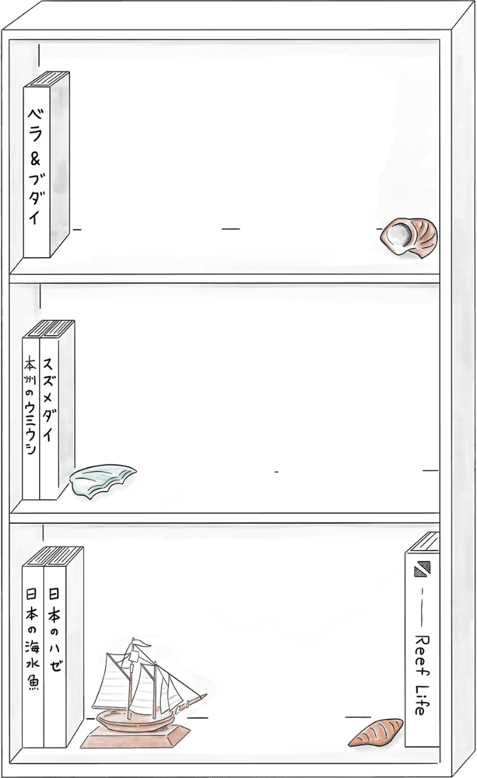 本棚のイラスト