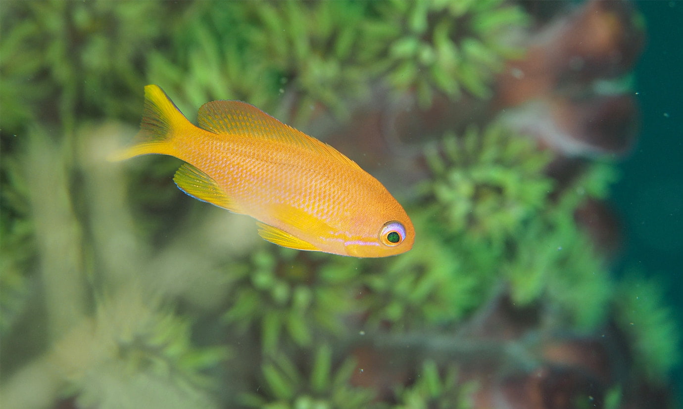 スライド１枚目