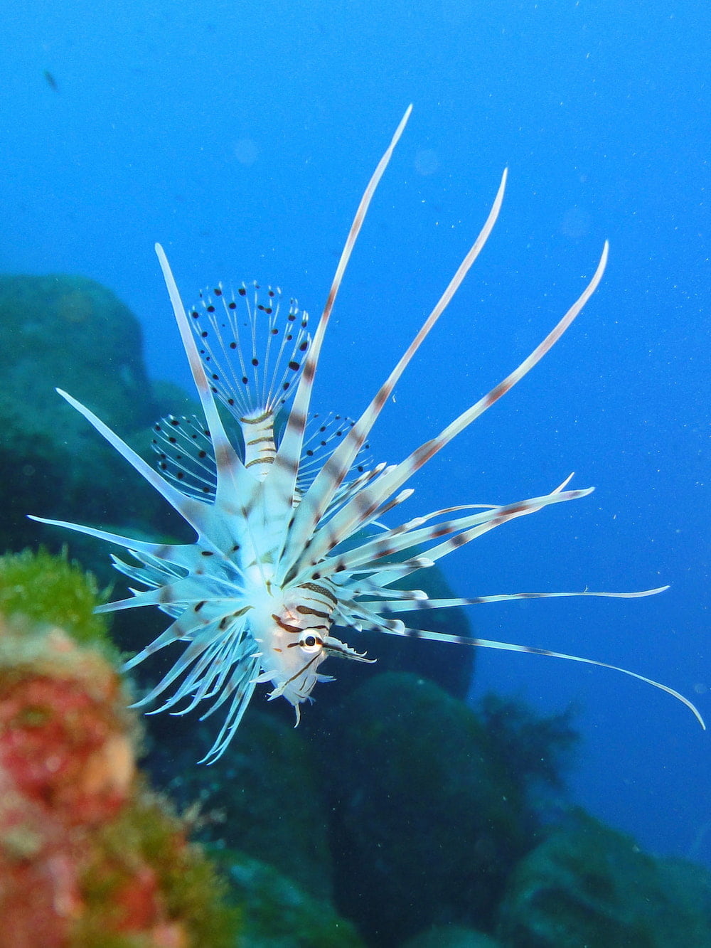 スライド１枚目